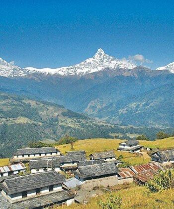 WhatsApp Image 2026-05-21 at 2.59.21 PM (1)